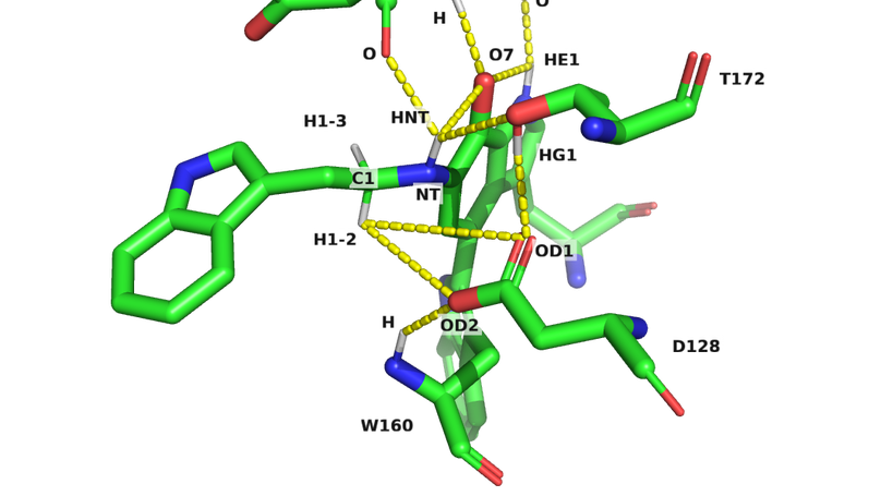Markov Models of Biomolecular Systems